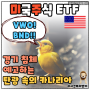 VWO와 BND - 경기 침체 탄광 속의 카나리아와 같은 미국 주식 ETF