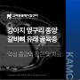 [고려동물메디컬센터] 강아지 종양 (갈비뼈 유래 골육종) 제거술, 옆구리 혹, 연골육종, 암 수술, CT 촬영