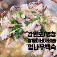 강원도 평창 흥정계곡 근처 쌍둥이네가벼슬 엄나무백숙 맛집 추천 여름 보양식 맛본 후기