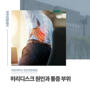 [대전대학교 천안한방병원] 허리디스크 원인과 통증 부위