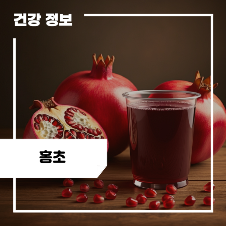 석류 홍초 효능 5가지, 다이어트, 부작용 : 복분자 홍초 효능 : 네이버 블로그