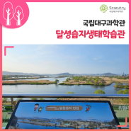 🗺️ 대구 실내 아이와 가볼만한 곳 : ✔달성습지생태학습관 ✔국립대구과학관 상설전시관 ✔어린이전시관