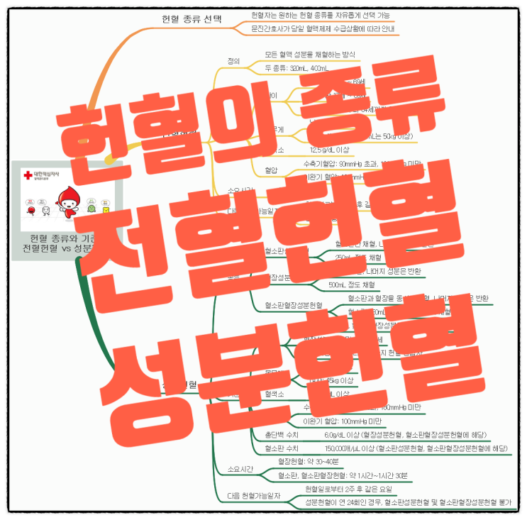 헌혈의 모든 것: 전혈헌혈과 성분헌혈, 당신에게 맞는 선택은? : 네이버 블로그