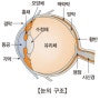 녹내장의 원인과 증상, 치료방법