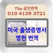 미국 출생증명서 공인번역 - 국내 법원 제출