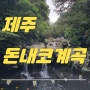 8월 제주도 돈내코유원지 숨은 물놀이명소, 준비물추천리스트