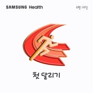 달리기를 끔찍히 싫어하던 내가 5km를 뛰다니 - 그간의 러닝 기록