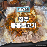 청주 봉용불고기 본점 - 풍자또간집(파절이 대존맛, 아쉬웠던 점은?)