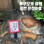 후쿠오카 근교 여행 버스투어 - 쿠로가와 온천마을 와카바 료칸 당일온천 가족탕