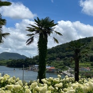 [여름휴가] 오션뷰 통영 카페 '아르세' Arce솔직후기 🌴