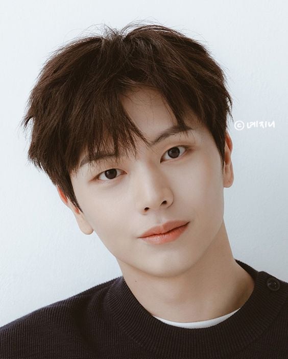 사막여우상 남자 여자 연예인 모음집 : 네이버 블로그