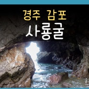 전촌용굴 사룡굴 경주 감포 가볼만한곳