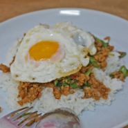 치앙마이 돼지고기바질덮밥 맛집 팟카파오무쌉 마틴스키친, 산티탐 로타리 근처 무삥