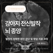 [24시 연희동물의료센터] 강아지 발작, 뇌종양, 경구항암치료, 악성종양, 암치료, MRI검사 / 인천 강아지 항암치료 동물병원