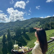 [보성] 녹차밭전망대 옆 뷰가 멋진 카페 '초록잎이 펼치는 세상 티하우스' 에 다녀왔어요