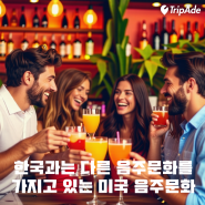 미국과 한국의 술 음주문화 차이