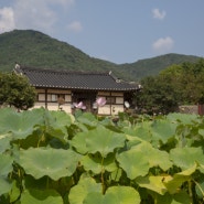 외암마을[충청남도 아산]