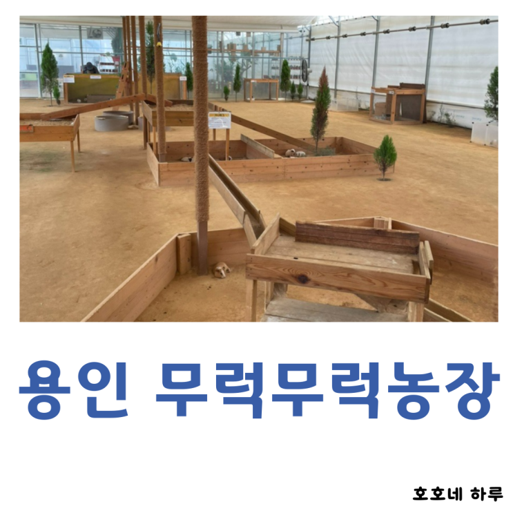 용인 무럭무럭농장, 아이랑 동물 먹이주기 체험을 할 수 있는 곳