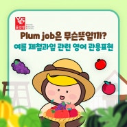 Plum job은 무슨 뜻?여름 제철 과일 관련 영어 관용표현