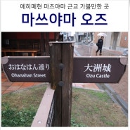 마쓰야마 여행 근교 코스 오즈 가는법, 구루린 순환 버스, 투어 코스