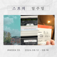 시간아 빨리 가줘 ✨ :: WEEK 33