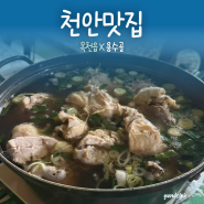 [천안맛집] 계곡에서 먹는 백숙맛집 ‘용수골’