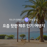 제주도 한달살기할 때 필독!요즘 뜨고있는 제주 인기 여행지 추천!