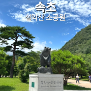 설악산소공원 주차장 물품보관함과 주변 볼거리까지