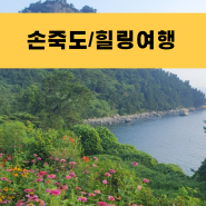 전남 여름휴가지 추천 여수 손죽도 힐링여행