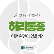 허리통증 어떤 원인이 있는 것일까?