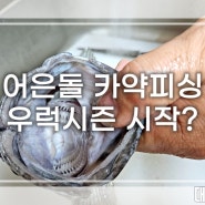 어은돌 카약피싱-우럭시즌 시작?