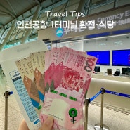 인천공항 환전 수령 환전소 시간 1터미널 식당 스타벅스