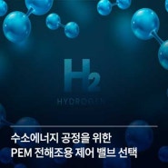 수소 에너지 공정을 위한 PEM 전해조용 제어 밸브 선택