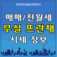 원주 무실동 뜨란채 아파트 매매 전세 월세 시세 정보