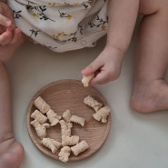 아기쌀과자 시기 맛있는 10개월 아기떡뻥추천 송이송이