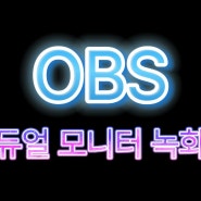 [최신]OBS 듀얼모니터 동시 녹화 방송하기, OBS Studio 듀얼스크린 녹화 방송 셋팅법