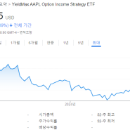 매월 주는 고배당 알고보면 내돈내산 5탄 애플(AAPL) 옵션 일드맥스 커버드콜 APLY ETF 주가