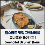 할슈타트 맛집 제호텔 그뤼너 바움 슈니첼과 숭어구이 먹기 Seehotel Grüner Baum