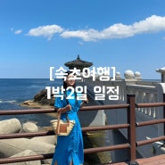 [속초여행] 속초1박2일 실패없는 일정공유 / 속초맛집 / 속초 숙소 / 속초 가볼만한 곳 추천