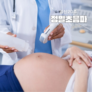 임신20주 정밀초음파검사 시기 비용 왜 하는걸까?