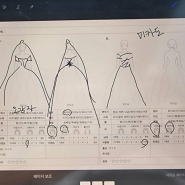 2025년 메이제인에서 2부드레스까지 한 번에 계약한 이유(드레스 투어)