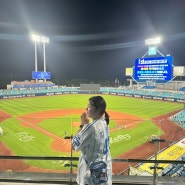 [야구]대구 삼성라이온즈파크 SKY상단 U-11구역 직관 후기(6/21두산전 6/23 더블헤더 2차)