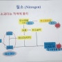 단비, 고온, 착색불량 사과를 착색 시키는 안토시아닌 어떻게 생성될까요