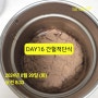 8/20 DAY16 야금야금 찌는중 간헐적단식