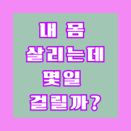 내 몸 살리는데 몇일 걸릴까?