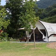 진주 월아산 자연휴양림 글램핑장 후기