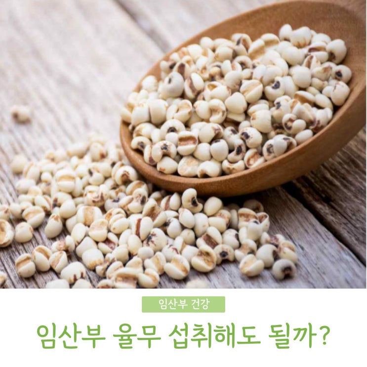 임산부 율무차 먹어도 될까? 선식, 미숫가루도 조심! : 네이버 블로그