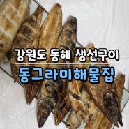 강원도 동해시 생선구이 맛집 추천 동그라미해물집