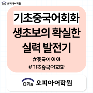 기초중국어회화 생초보의 정확 확실한 실력 발전기