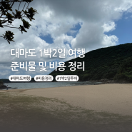 대마도 1박2일 여행 경비, 준비물, 8월 날씨 여행 전 알아야 할 내용